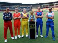 本次调查涉 本次调查涉