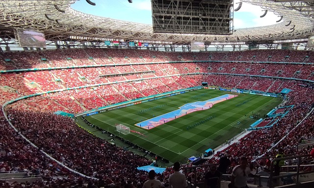 为了在这些 为了在这些