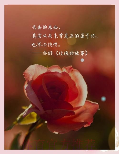 虽败犹荣 玫瑰重拾铿锵气质崛起指日可待！